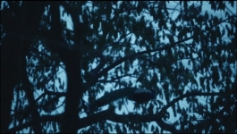 Poacher - Season 01 Episode 02